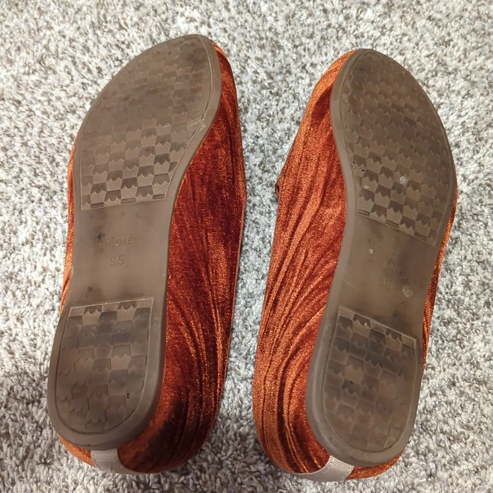 Birdies - The Starling - Picture 3 of 5